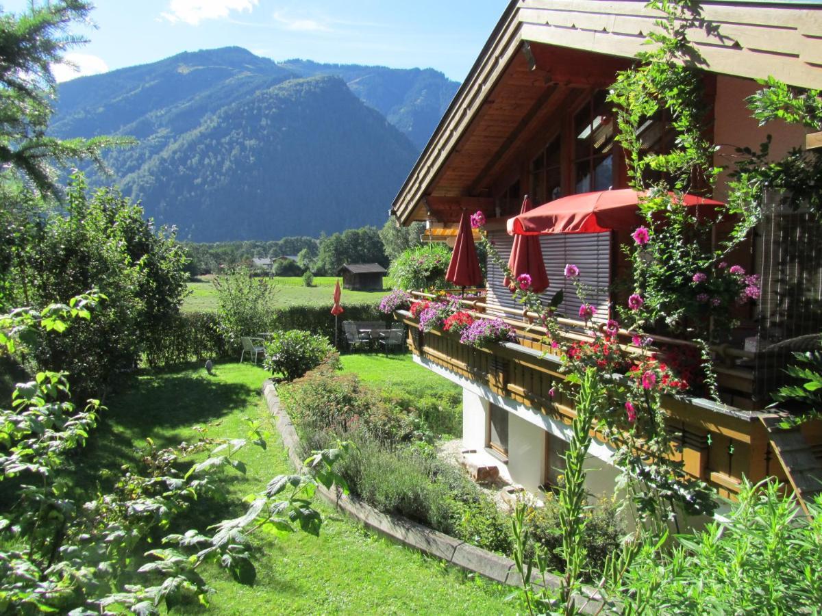 Gartenwohnung Robinigg ไมส์โฮเฟิน ภายนอก รูปภาพ